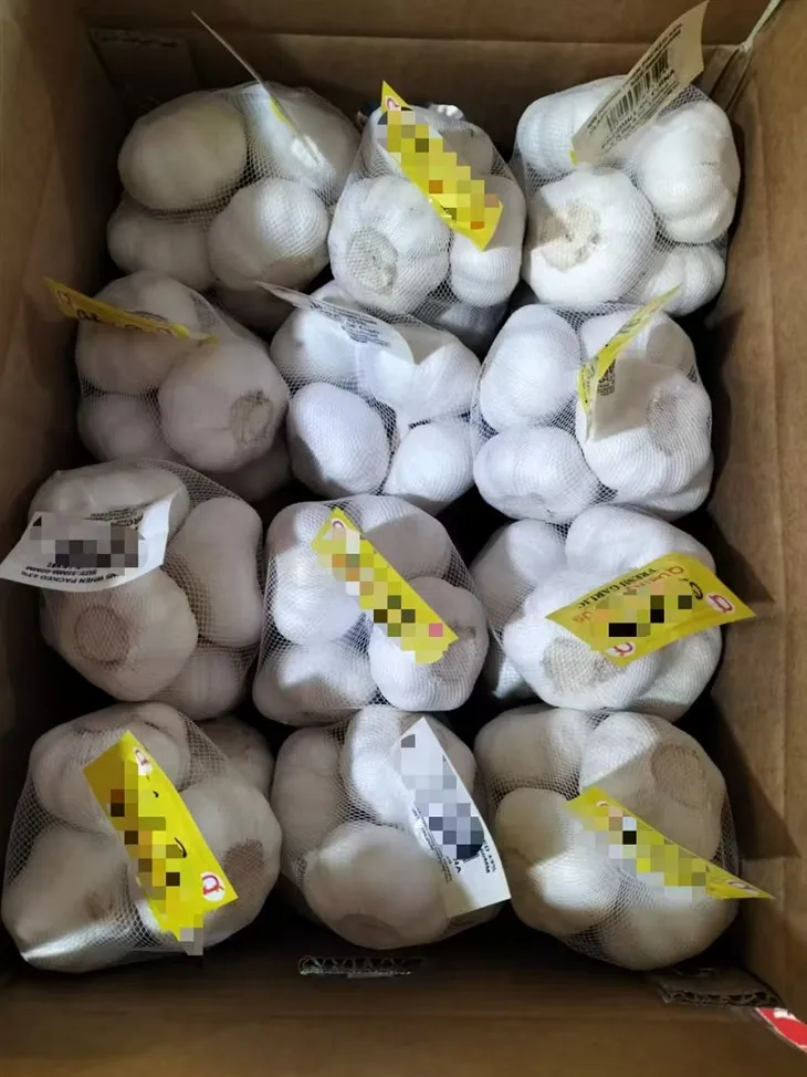 Fine Processed Garlic