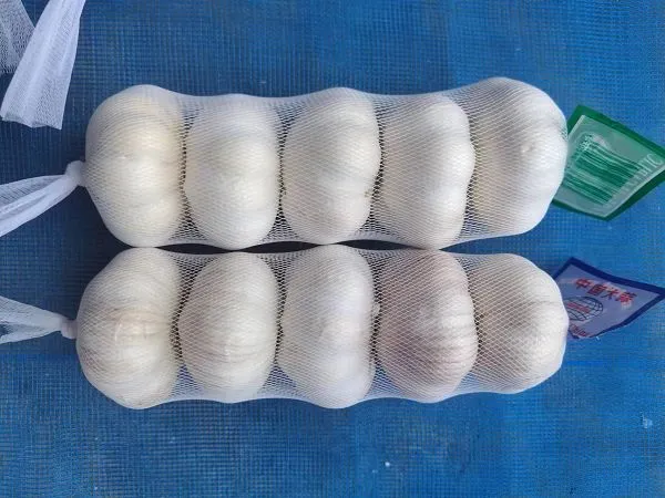 5d7308d6-02b7-428b-b502-65436713c496(001)