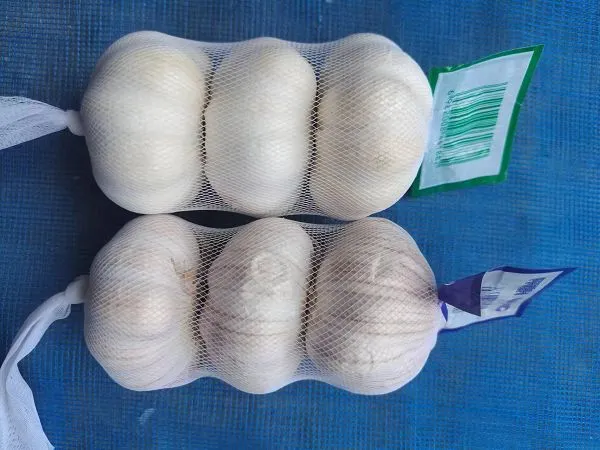 c8273101-1058-4c94-b535-57f68aadb680(001)