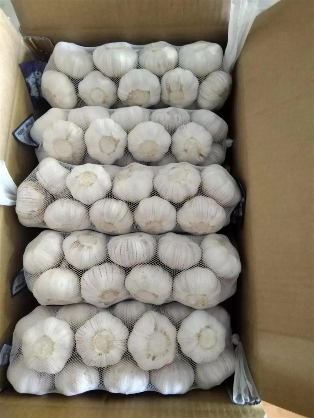 1000g Garlic