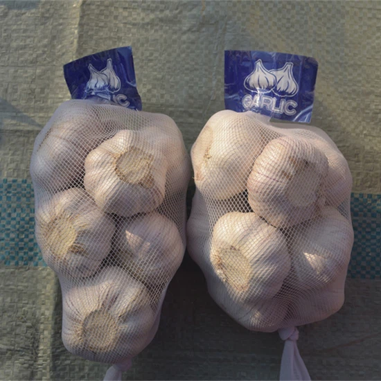 Bagged Peeled Garlic