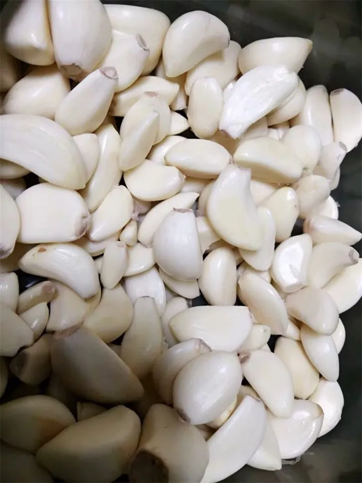 08de1bd2ede5c176a8f9df346da9063b