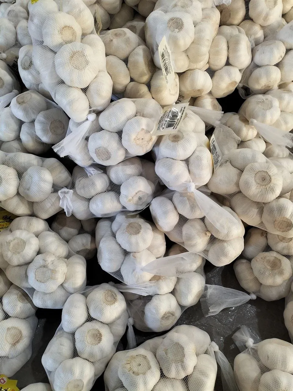 Fine Processed Garlic