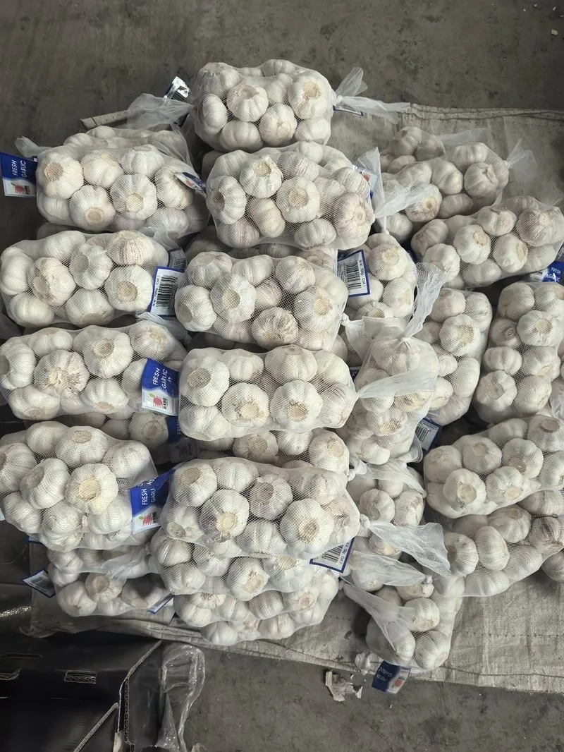 Garlic in Big Net Bag