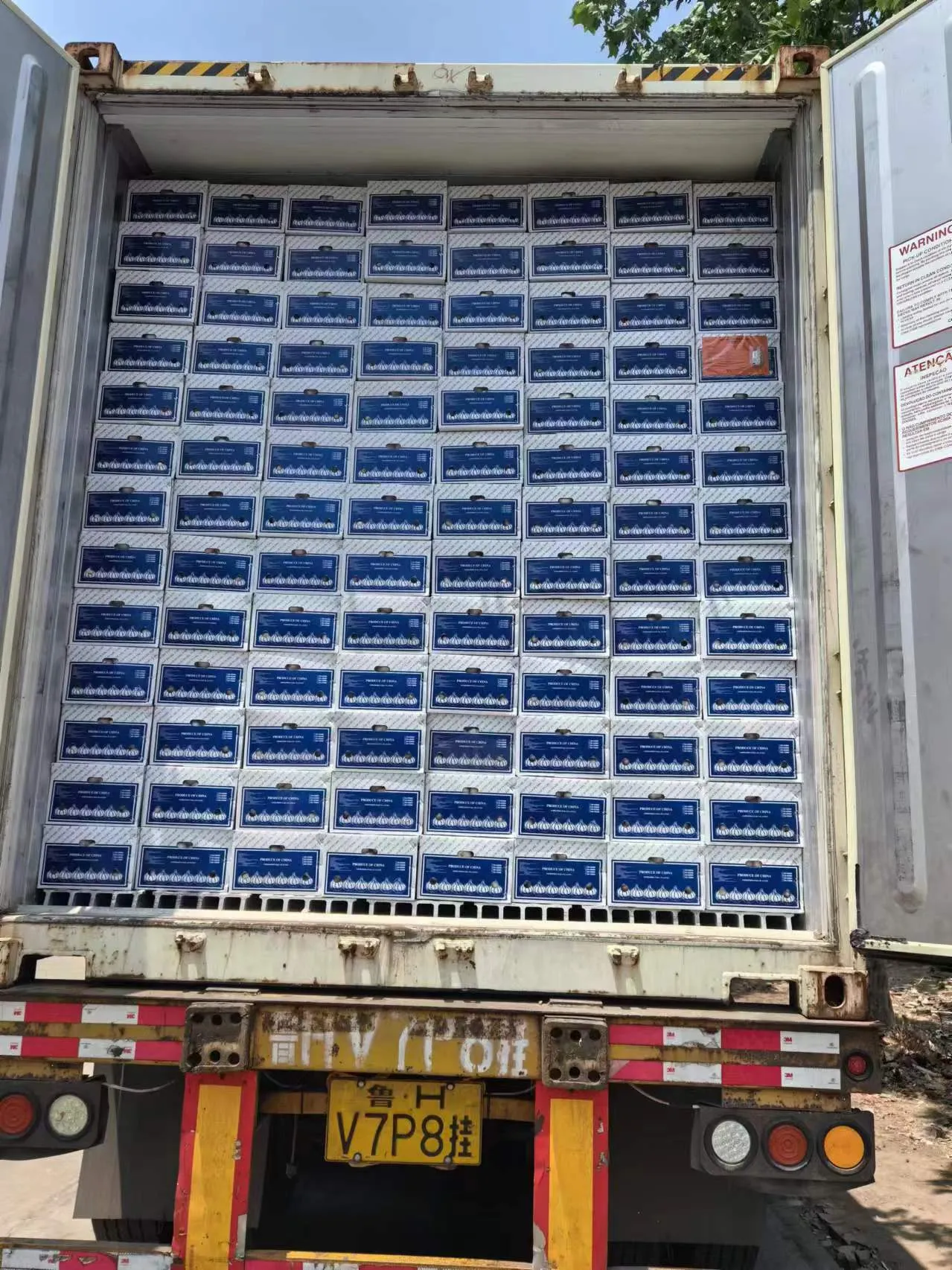 Garlic Transportation