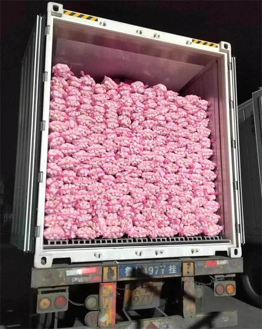 Tasca di rete rossa Aglio bianco