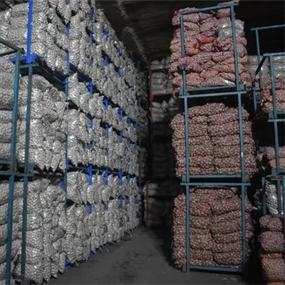 Aglio congelato tritato