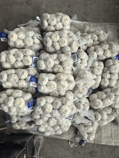 Aglio in grande borsa a rete